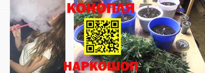 PSILOCYBIN Можайск