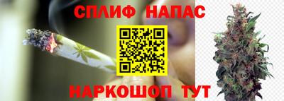 герыч Можга