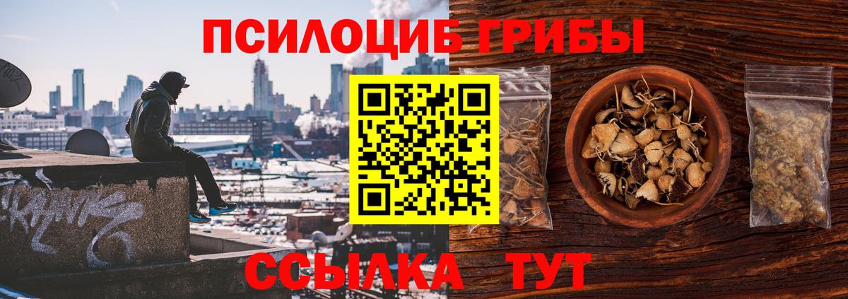 Галлюциногенные грибы Psilocybine cubensis Тайшет